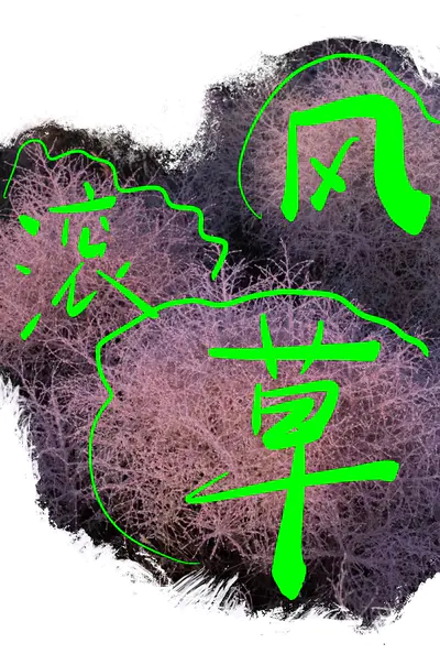风滚草驻留征集